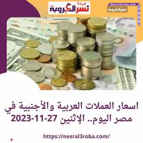 اسعار العملات العربية والأجنبية اليوم داخل مصر .. الإثنين 27 نوفمبر2023