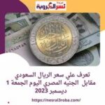 تعرف علي سعر الريال السعودي مقابل الجنيه المصري اليوم الجمعة 1 ديسمبر 2023