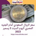 سعر #الريال_السعودي اليوم مقابل #الجنيه_المصري اليوم السبت 2 ديسمبر 2023