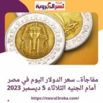 مفاجأة.. سعر الدولار اليوم في مصر أمام الجنيه الثلاثاء 5 ديسمبر 2023