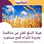 هيئة العامة للسلع تعلن عن مناقصة جديدة لشراء قمح مستورد مع التسليم خلال شهر يناير 2024