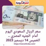 #سعر #الريال السعودي اليوم أمام #الجنيه المصري .. الخميس 14 ديسمبر 2023