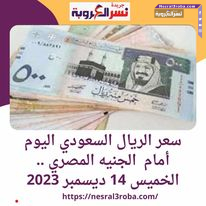 #سعر #الريال السعودي اليوم أمام #الجنيه المصري .. الخميس 14 ديسمبر 2023
