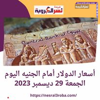  أسعار الدولار أمام الجنيه اليوم الجمعة 29 ديسمبر 2023..في البنوك المصرية