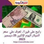رايح على فين؟.. تعرف علي سعر الدولار اليوم الإثنين 25 ديسمبر 2023 داخل البنوك