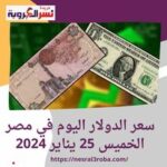 سعر الدولار اليوم في مصر الخميس 25 يناير 2024.. واسعار الذهب