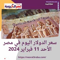 سعر الدولار اليوم في مصر الأحد 11 فبراير 2024.. في البنوك والصرافات