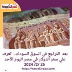 بعد التراجع في السوق السوداء.. تعرف علي سعر الدولار في مصر اليوم الأحد 25 /2/ 2024