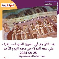 بعد التراجع في السوق السوداء.. تعرف علي سعر الدولار في مصر اليوم الأحد 25 /2/ 2024