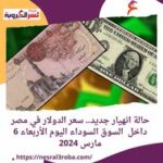 حالة انهيار جديد.. سعر الدولار في مصر داخل السوق السوداء اليوم الأربعاء 6 مارس 2024