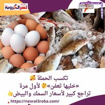 تكسب الحملة «خليها تعفن» لأول مرة.. تراجع كبير لأسعار السمك والبيض