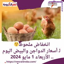 انخفاض ملحوظ لـ أسعار الدواجن والبيض اليوم.. الأربعاء 1 مايو 2024