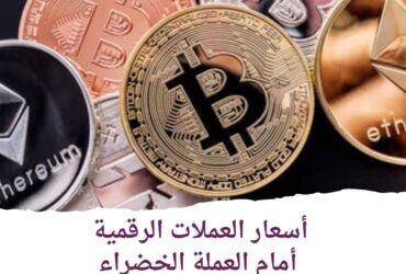 أسعار العملات الرقمية أمام الدولار اليوم الجمعة 21 يونيو 2024