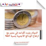 صر تشهد تدفقات أجنبية قوية مع استقرار سعر الصرف