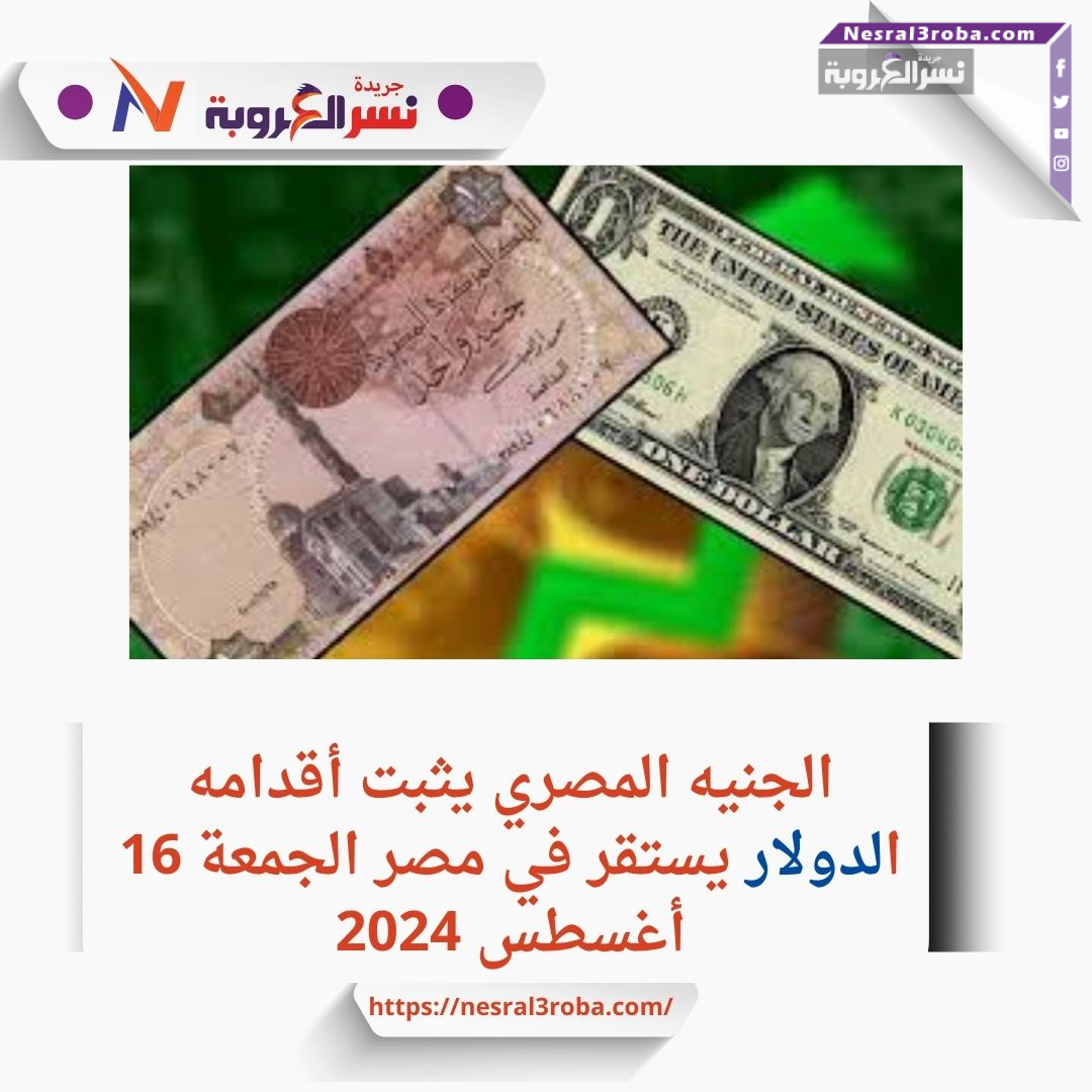 ثبات أسعار الصرف في مصر.. الدولار يتداول عند 48.85 جنيه للشراء