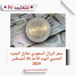 ريال السعودي أمام الجنية لبمصري اليوم الأحد 25 أغسطس 2024