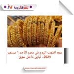 سعر الذهب اليوم في مصر الأحد 1 سبتمبر 2024..