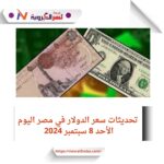 تحديثات سعر الدولار في مصر اليوم الأحد 8 سبتمبر 202