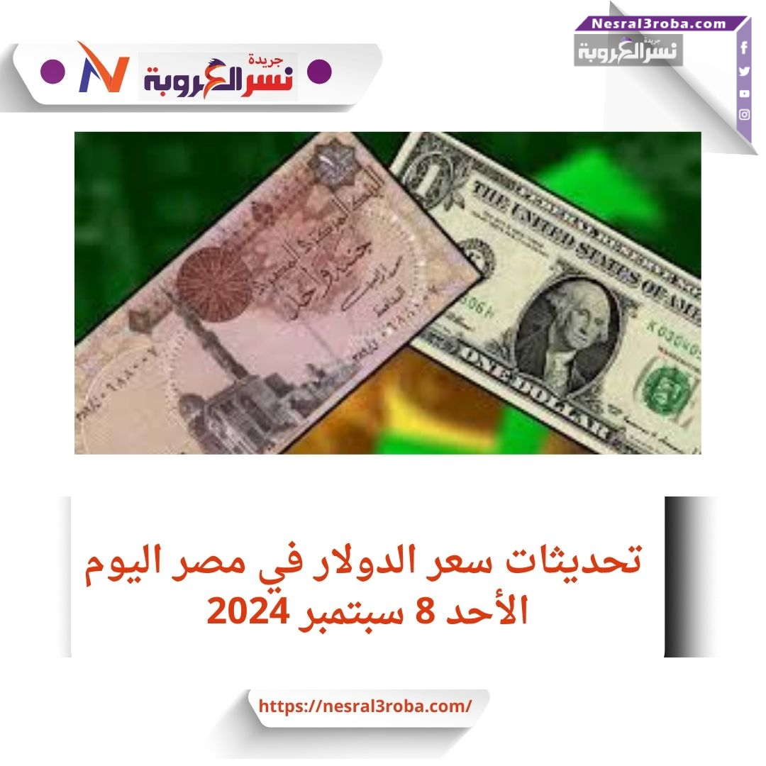 تحديثات سعر الدولار في مصر اليوم الأحد 8 سبتمبر 202