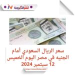 سعر الريال السعودي أمام الجنيه في مصر