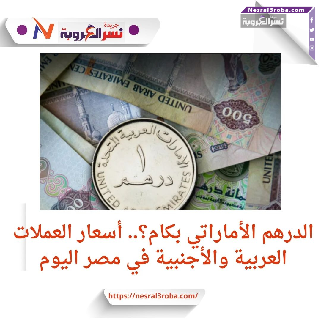 الدرهم الأماراتي بكام؟.. أسعار العملات العربية والأجنبية