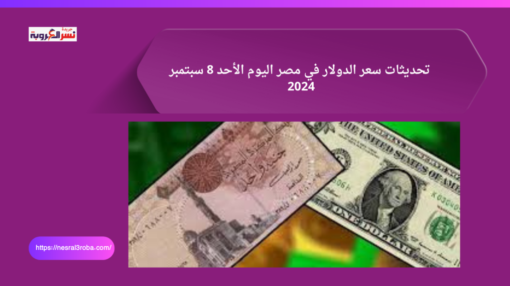تحديثات سعر الدولار في مصر اليوم الأحد 8 سبتمبر 2024 26 Here to connect 54
