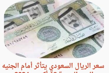 سعر الريال السعودي يتأثر أمام الجنيه اليوم الجمعة 18 أكتوبر 2024