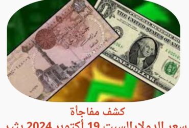 كشف مفاجأة: سعر الدولارالسبت 19 أكتوبر 2024 يثير الدهشة.. ما السبب؟