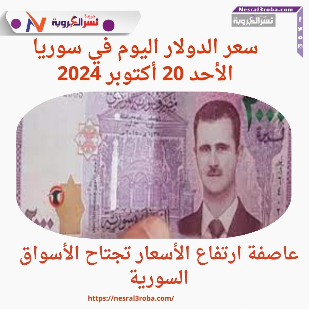الدولار يرسو على شاطئ الاستقرار.. عاصفة ارتفاع الأسعار تجتاح الأسواق السورية