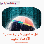 هل ستغرق شوارع مصر؟ الأرصاد تجيب