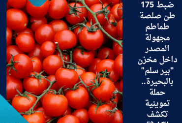 ضبط 175 طن صلصة طماطم مجهولة المصدر داخل مخزن "بير سلم" بالبحيرة.. حملة تموينية تكشف الكارثة
