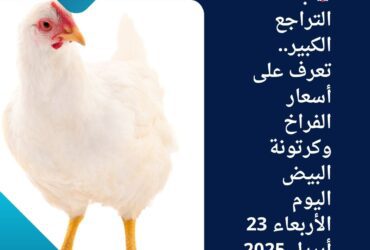 🐔 بعد التراجع الكبير.. تعرف على أسعار الفراخ وكرتونة البيض اليوم الأربعاء 23 أبريل 2025