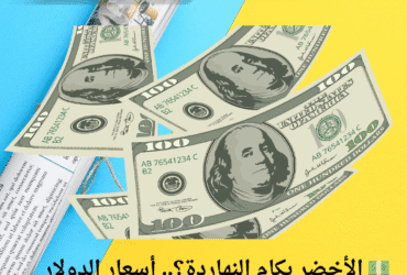 💵 الأخضر بكام النهاردة؟.. أسعار الدولار مقابل الجنيه المصري الجمعة 2 مايو 2025