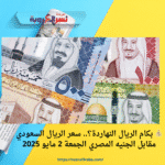 💰 بكام الريال النهاردة؟.. سعر الريال السعودي مقابل الجنيه المصري الجمعة 2 مايو 2025