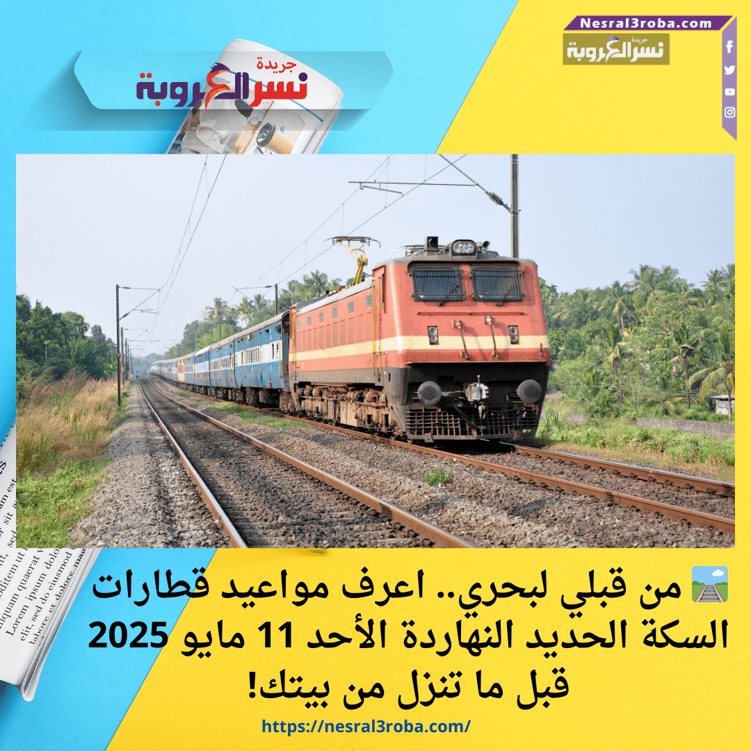 🛤️ من قبلي لبحري.. اعرف مواعيد قطارات السكة الحديد النهاردة الأحد 11 مايو 2025 قبل ما تنزل من بيتك!