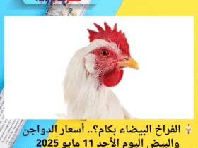 🐔 الفراخ البيضاء بكام؟.. أسعار الدواجن والبيض اليوم الأحد 11 مايو 2025
