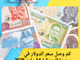 💸 كم وصل سعر الدولار في سوريا اليوم؟ | 14 مايو 2025