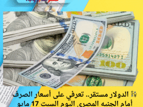 💱 الدولار مستقر.. تعرفي على أسعار الصرف أمام الجنيه المصري اليوم السبت 17 مايو 2025