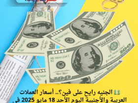 💵 الجنيه رايح على فين؟.. أسعار العملات العربية والأجنبية اليوم الأحد 18 مايو 2025 في مصر