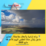 🌪️ رياح ترابية وأمطار مفاجئة!.. تحذير عاجل بشأن حالة الطقس اليوم الأحد 18 مايو 2025