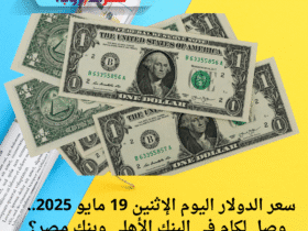 💵 سعر الدولار اليوم الإثنين 19 مايو 2025.. كام في البنك الأهلي وبنك مصر؟ وهل التراجع مستمر؟