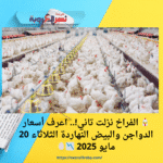 🐔 الفراخ نزلت تاني!.. اعرف أسعار الدواجن والبيض النهاردة الثلاثاء 20 مايو 2025 📉🥚