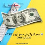 📊 سعر الدولار في مصر اليوم الثلاثاء 20 مايو 2025