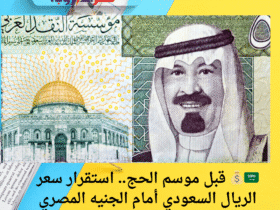 🇸🇦💰 قبل موسم الحج.. استقرار سعر الريال السعودي أمام الجنيه المصري اليوم الخميس 22 مايو 2025