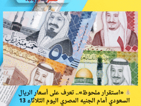 💰 «استقرار ملحوظ».. تعرف على أسعار الريال السعودي أمام الجنيه المصري اليوم الثلاثاء 13 مايو 2025