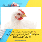 🍗 "الفراخ نزلت 3 جنيه.. والأسعار مفاجأة!"🗓️ أسعار الدواجن والبيض اليوم الأربعاء 21 مايو 2025