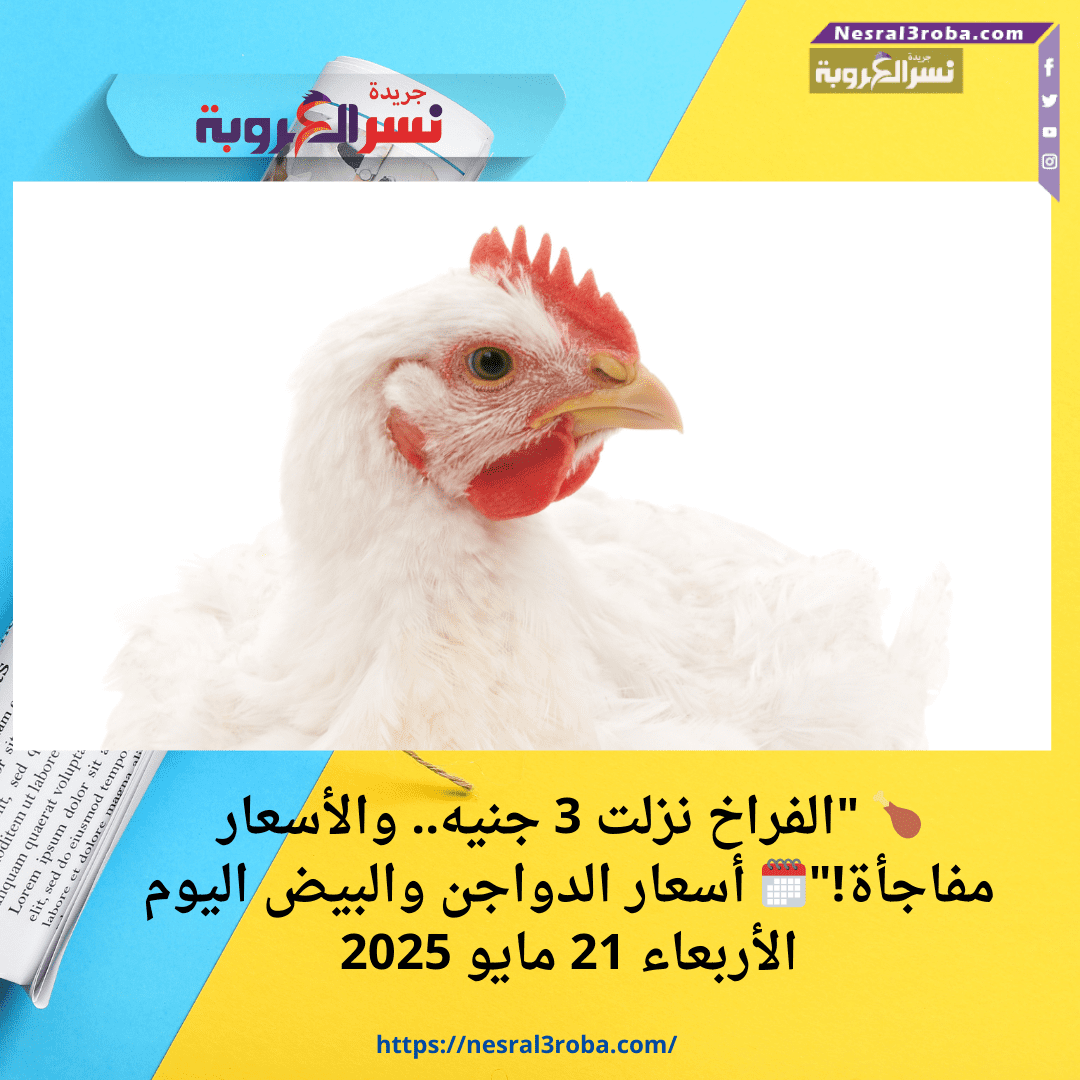 🍗 "الفراخ نزلت 3 جنيه.. والأسعار مفاجأة!"🗓️ أسعار الدواجن والبيض اليوم الأربعاء 21 مايو 2025
