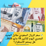 💸 سعر الريال السعودي مقابل الجنيه المصري اليوم الإثنين 19 مايو 2025.. هل يستمر الاستقرار؟