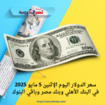 سعر الدولار اليوم الإثنين 5 مايو 2025 في البنك الأهلي وبنك مصر وباقي البنوك