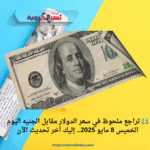 💵 تراجع ملحوظ في سعر الدولار مقابل الجنيه اليوم الخميس 8 مايو 2025.. إليك آخر تحديث الآن